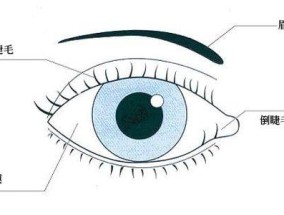 倒睫毛的处理小妙招？如何快速缓解睫毛倒插的不适？