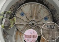 双桶洗衣机（掌握双桶洗衣机的清洗技巧）