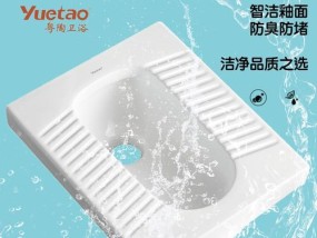 卫浴蹲便器选购指南（挑选卫浴蹲便器的关键因素及推荐品牌）