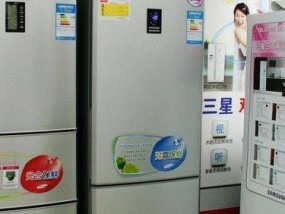 三星冰箱D5故障全面解析（解读三星冰箱D5故障原因和解决方法）
