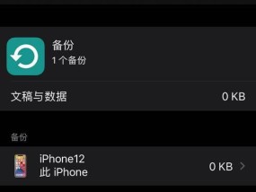 苹果新手机软件导入教程（简单快速学会导入新手机软件的方法）