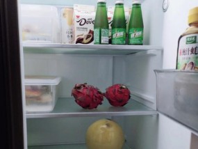 冰箱保鲜结冰处理方法（轻松应对冰箱结冰问题）