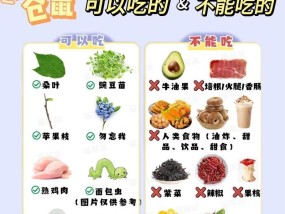 新手养小仓鼠需要注意什么？如何正确照顾小仓鼠？