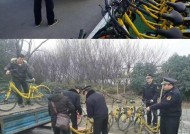 城管打电瓶车怎么处罚的？相关法律规定有哪些？