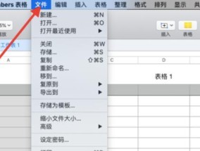 苹果电脑表格运行缓慢如何优化？有哪些调整方法？