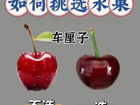 秋季水果有哪些？如何挑选和享用这些美味的秋季果实？