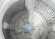 涡轮洗衣机的清洗技巧（轻松掌握清洗涡轮洗衣机的方法）