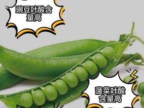 哪些食物和水果含有丰富的叶酸？叶酸对健康有哪些益处？