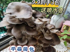室内种菌菇的养殖技巧有哪些？如何解决常见问题？
