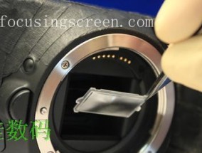 switch帕丽亚添加好友的方法是什么？操作步骤复杂吗？