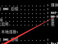 网关使用两个IP地址的设置方法是什么？设置后如何验证？