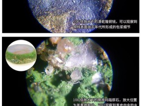 如何用手机给显微镜拍照？