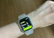 苹果手表下载方块鸟游戏方法？兼容性如何？