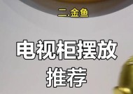 电视机旁的摆饰应该叫什么？