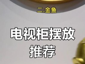 电视机旁的摆饰应该叫什么？