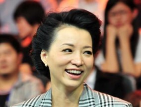 揭秘董卿被央视解雇真相，打破谣言迷雾（背后真相曝光）