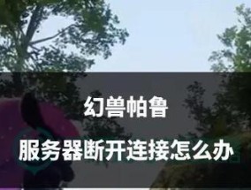 录车牌服务器断开后如何重新连接？