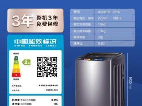 洗衣机后轮生锈处理方法（清洁保养让洗衣机后轮远离生锈）