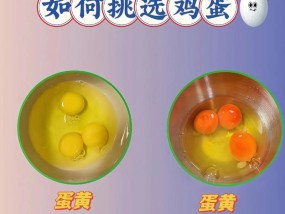 如何快速鉴别真假鸡蛋？鉴别真假鸡蛋的最有效方法是什么？