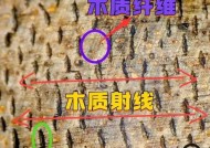 如何鉴定沉香的真伪？分享几个实用的技巧？