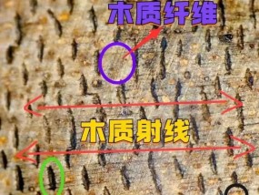 如何鉴定沉香的真伪？分享几个实用的技巧？