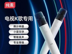极米投影仪配套话筒名称是什么？