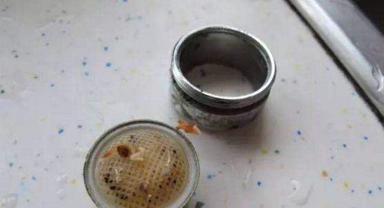 清除净水器水口的青苔，让水更健康（去除水口青苔的简单方法及注意事项）  第1张