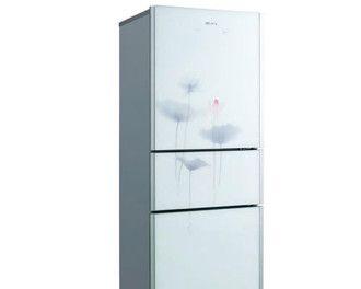 新飞冰箱vs奥克斯冰箱（品牌竞争之下的高性能冰箱对决）  第1张