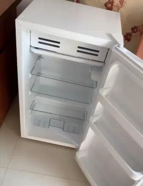 快速除冻的冰箱使用技巧（让你的食物迅速解冻的几种方法）  第1张