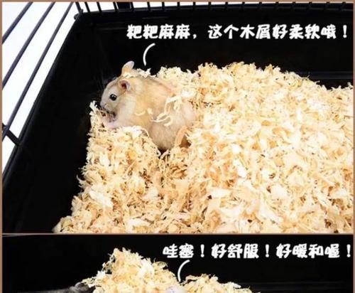 DIY仓鼠房子（用一些简单的材料）  第1张