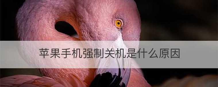 苹果手机强制关机的方法及注意事项  第1张