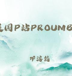 使用电脑浏览P站的方法（一步步教你如何访问P站并浏览内容）  第1张