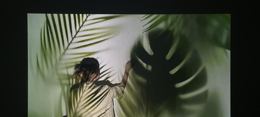 解决桌面投影仪无法使用的方法（故障排除和解决方案）  第2张