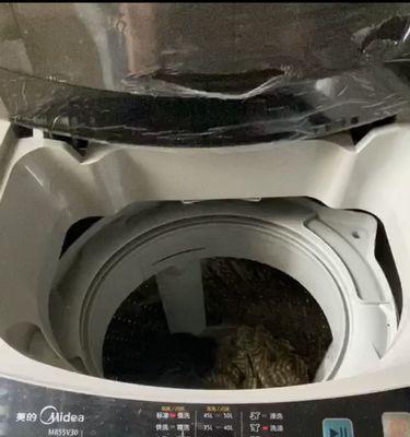 如何正确清洗美的滚筒洗衣机（轻松掌握关键步骤）  第2张
