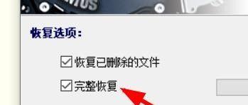 如何使用DiskGenius恢复文件（了解DiskGenius恢复文件大小限制及操作步骤）  第3张