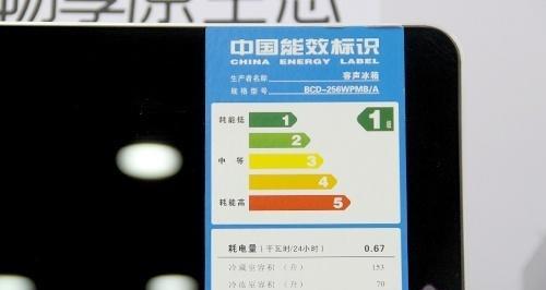 解决三星冰箱照明灯常亮问题的方法（如何修理冰箱照明灯不亮的故障）  第1张