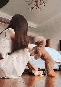 如何训练泰迪犬？泰迪犬训练技巧有哪些常见问题？  第1张