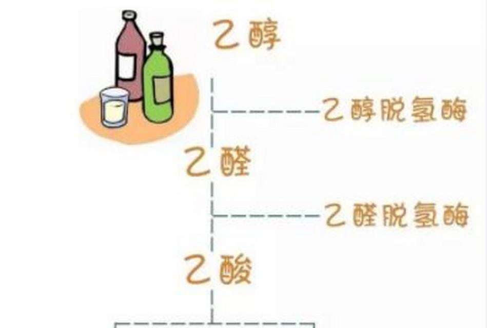 喝酒上脸是什么原因？如何避免喝酒脸红？  第1张