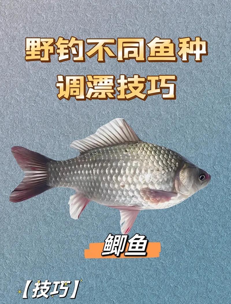 如何掌握钓鲤鱼的三种调漂技巧？  第1张