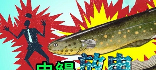 电鳗放电原理是什么？电鳗如何产生电流？  第3张