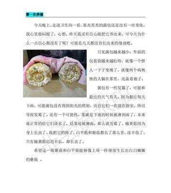 室内种菌菇的养殖技巧有哪些？如何解决常见问题？  第2张