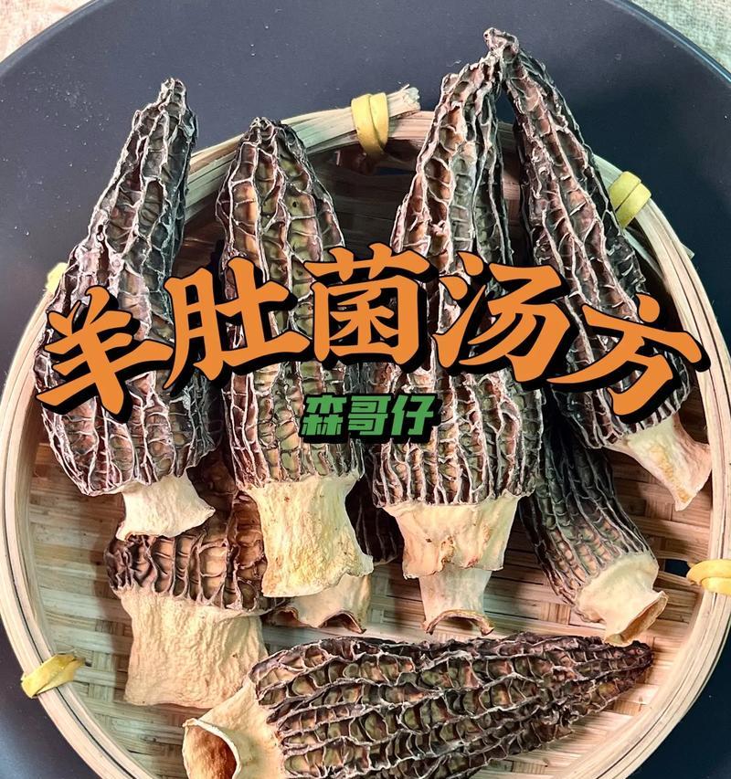 羊肚菌怎么做最美味营养？分享独家秘方！  第1张