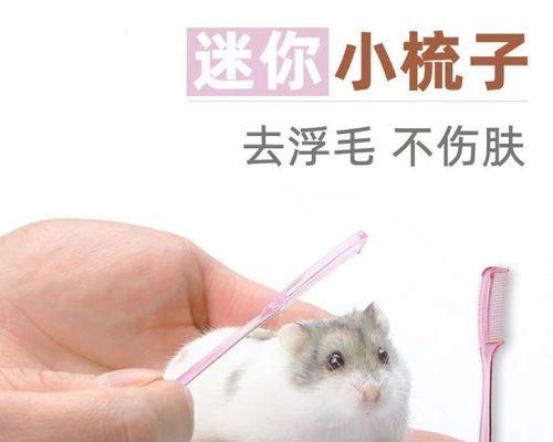 仓鼠掉毛是什么原因？如何解决？  第2张