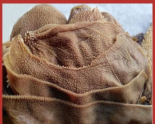 如何正确区分毛肚和百叶？毛肚和百叶的区别是什么？  第1张