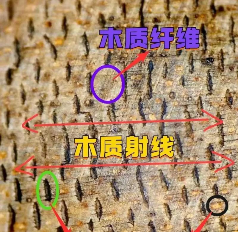 如何鉴定沉香的真伪？分享几个实用的技巧？  第1张