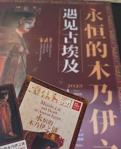 制作木乃伊的过程是怎样的？需要哪些步骤和材料？  第2张