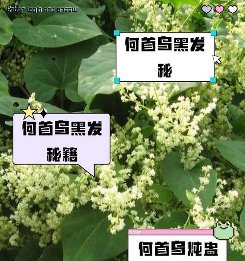 白发变黑发最好的方法是什么？有效自然的解决方案有哪些？  第2张