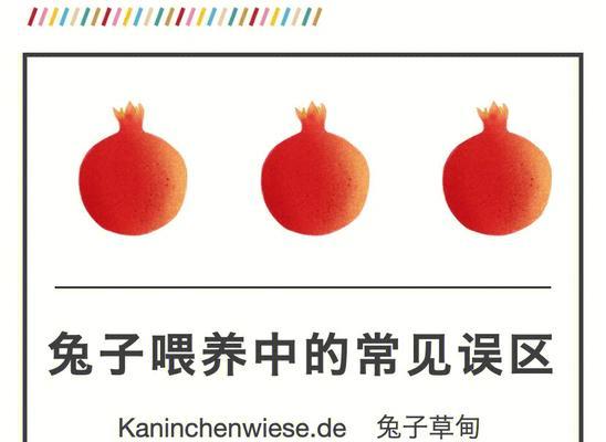 刚出生幼兔的喂养方法是什么？如何确保幼兔健康成长？  第2张