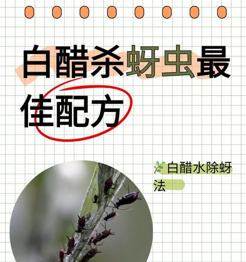 白醋洗脸的正确方法是什么？如何避免常见的误区？  第1张