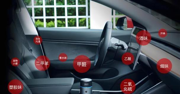 车内异味怎么办？试试这些清除小妙招！  第3张